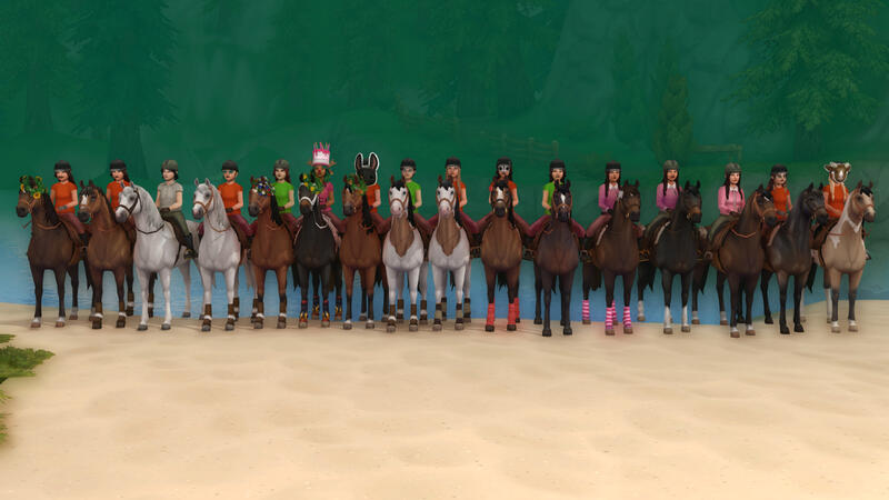 Dressage As Beginners Event