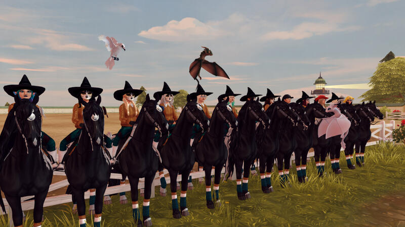 Blind Dressage Practice